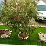 Apartamento El De Andrea Tordesillas