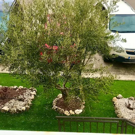 Apartment El De Andrea Tordesillas